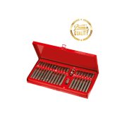 BAY-TEC 40 Parça 10 mm TORX BİTS UÇ ve ALLEN OTOMOTİV SETİ BAYTEC TORK