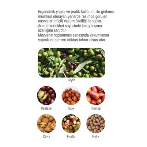 PALMERA ZSSJ100 MEYVE TOPLAMA MAKİNESİ Kestane-İğde-Hünnap-Ceviz-Fındık-Fıstık