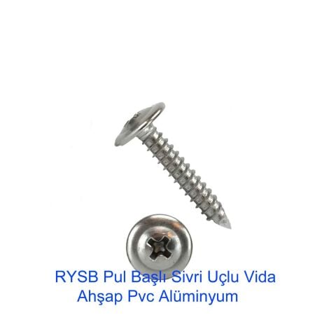 4.2*25 RYSB SAC VİDASI 1 kğ Pul Başlı Sivri Uçlu Ahşap Plastik Pvc Alüminyum Tampon